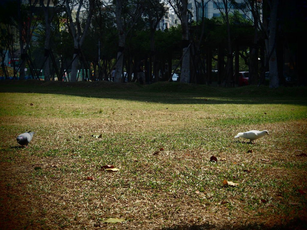 P1010063