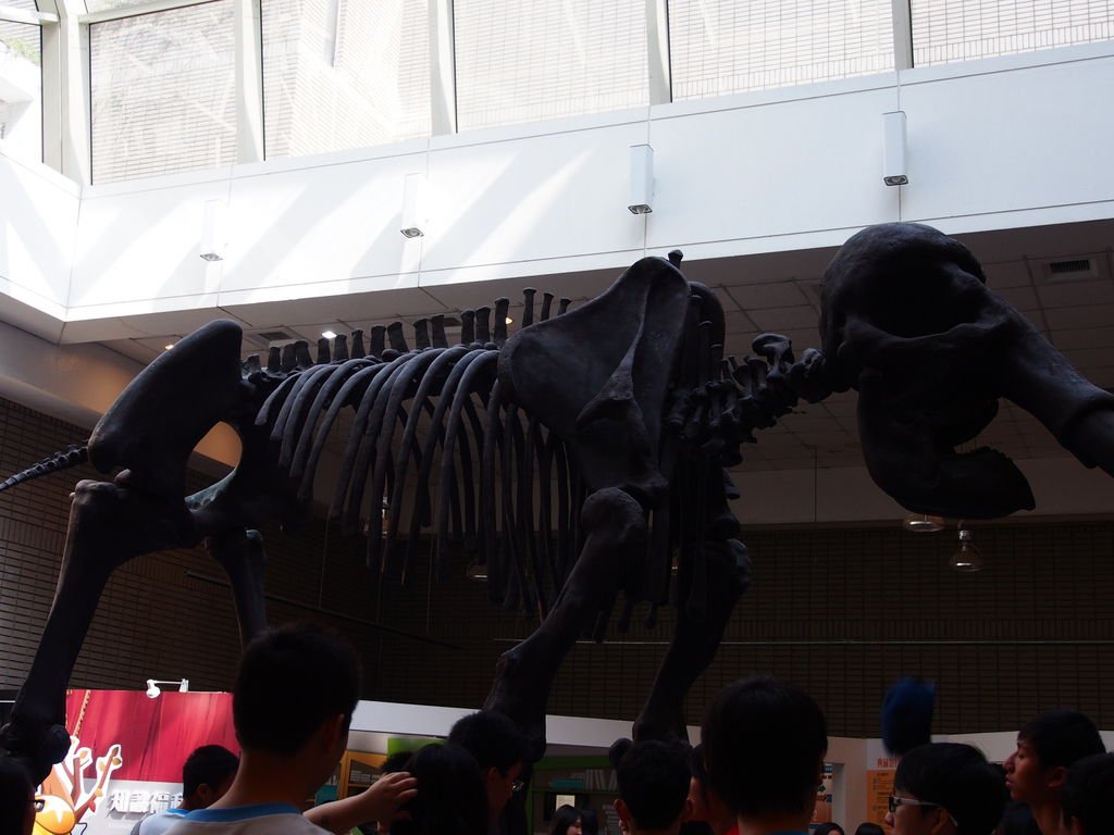 P1010116
