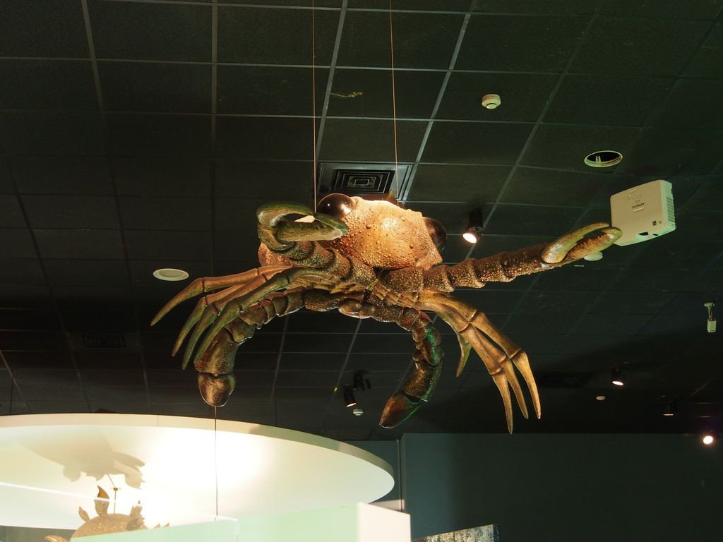 P1010153