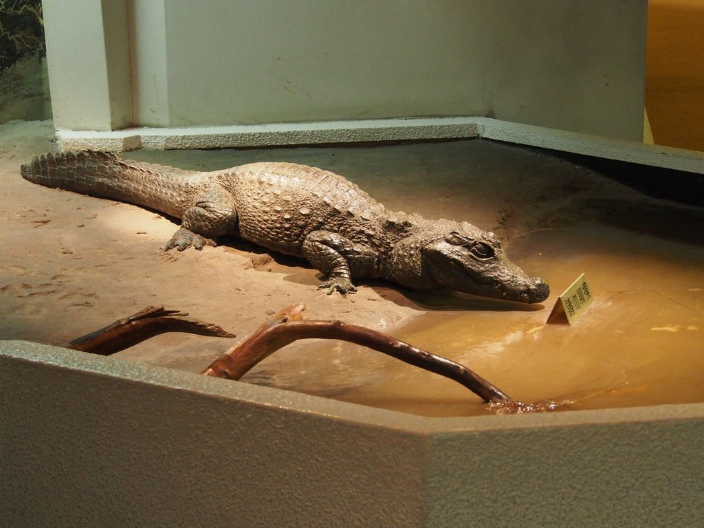 P1010170