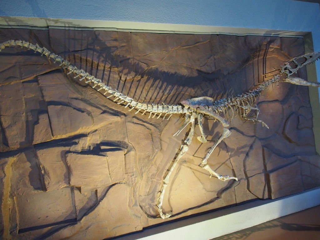 P1010172