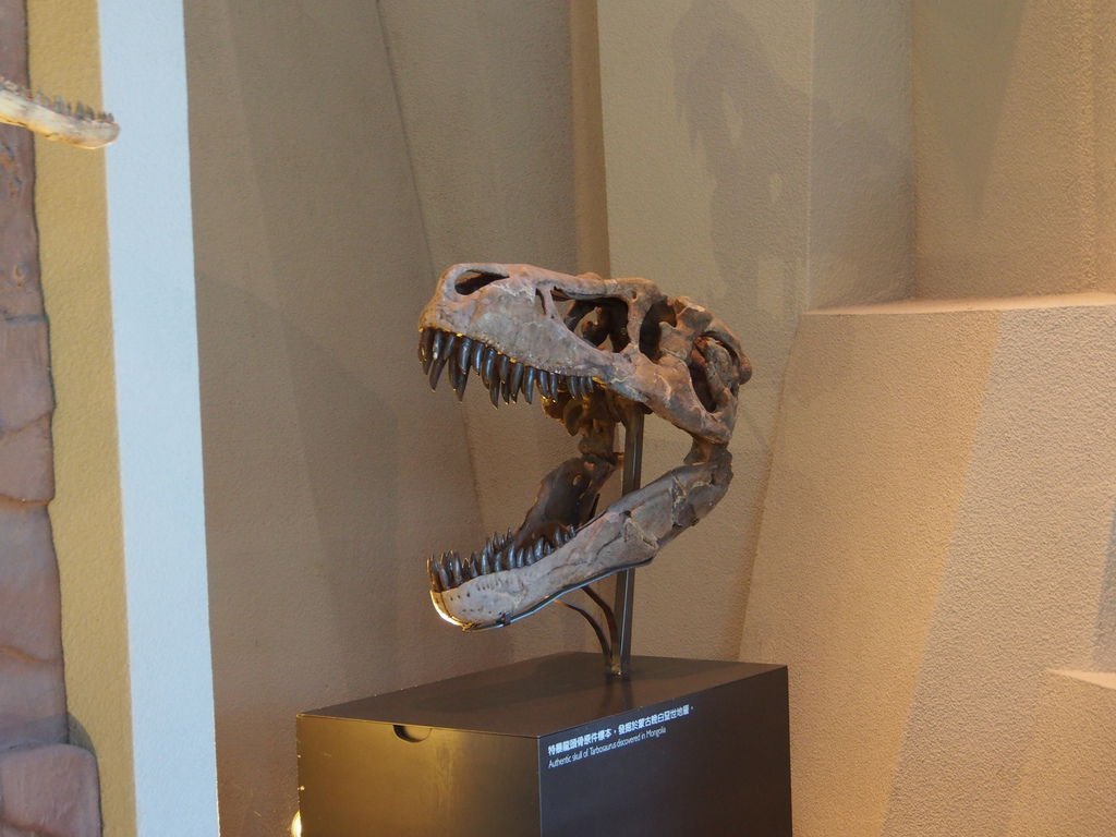 P1010173