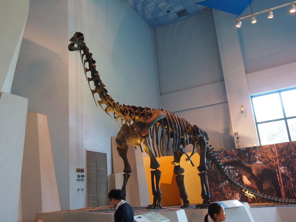 P1010174