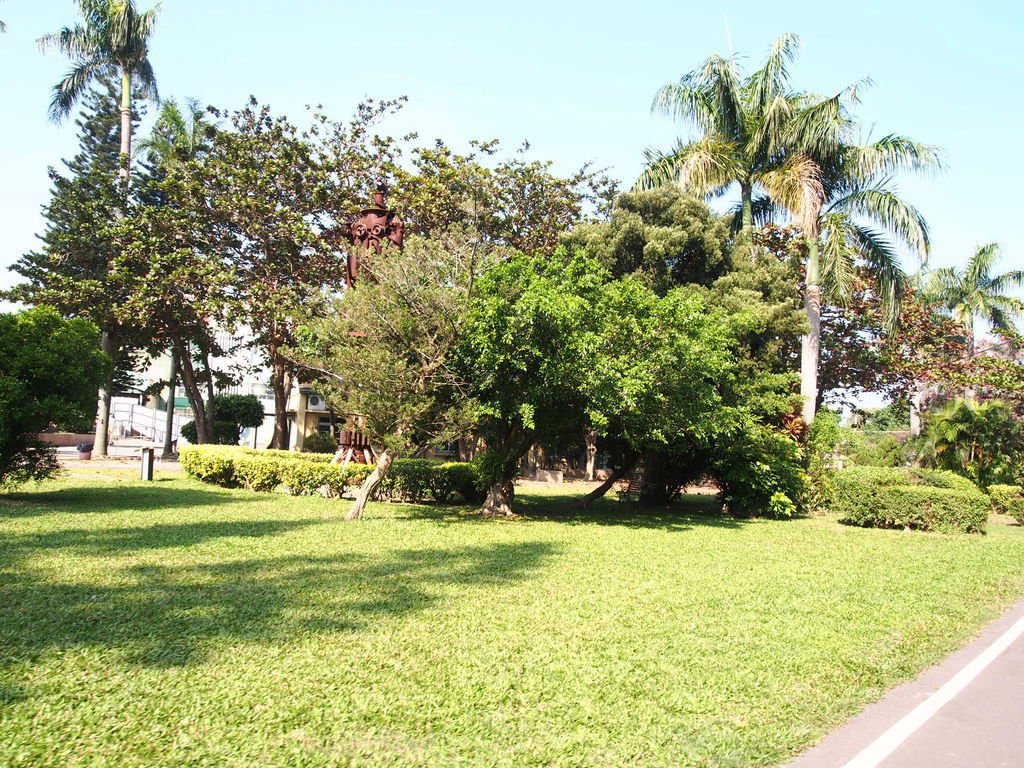 P1010549