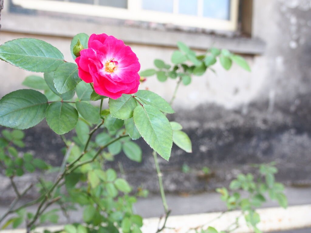 P1010622