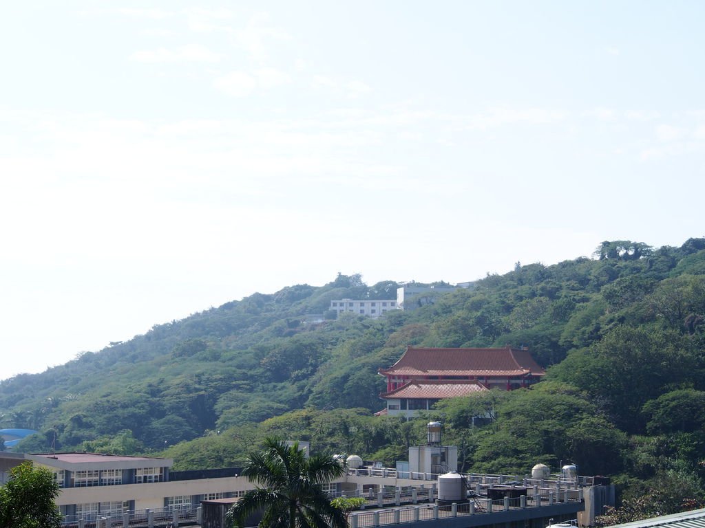 P1010939