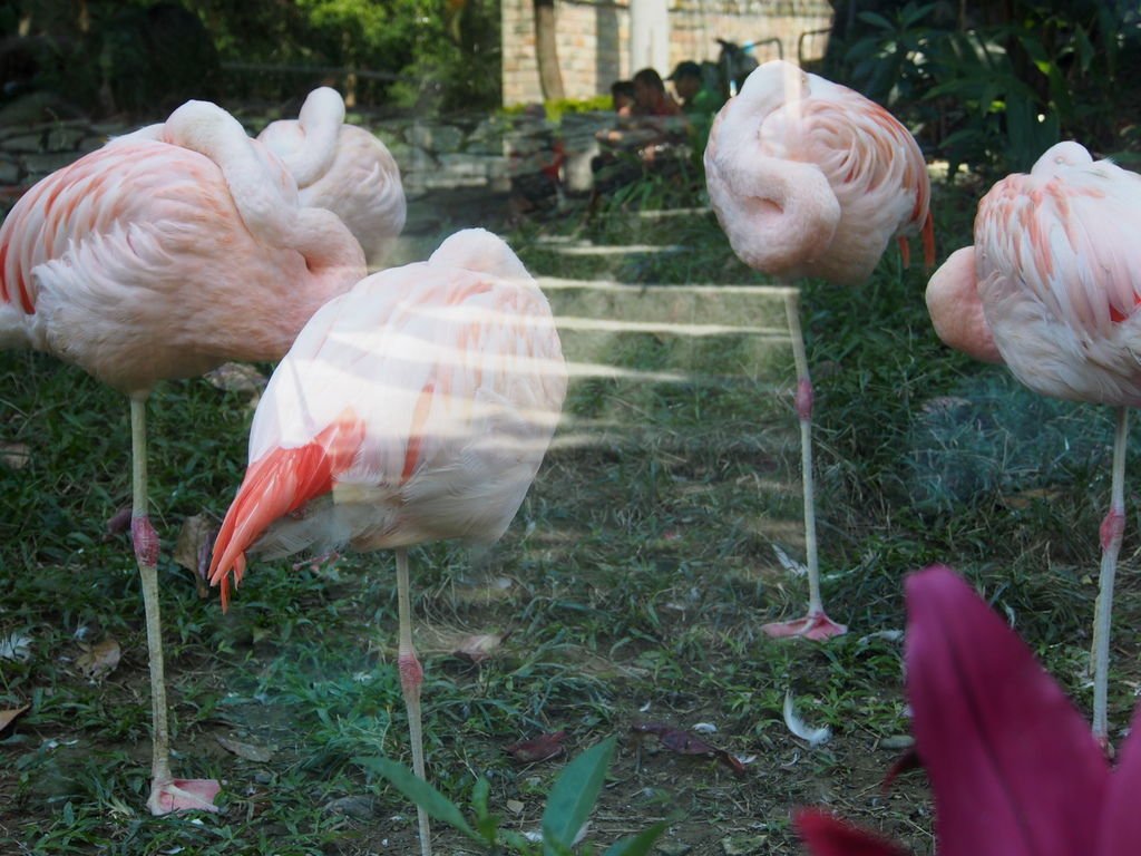 P1010971