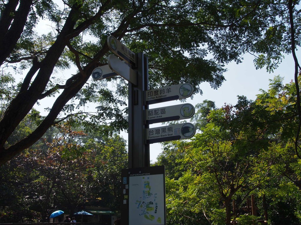 P1010980