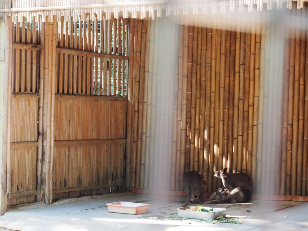 P1011066