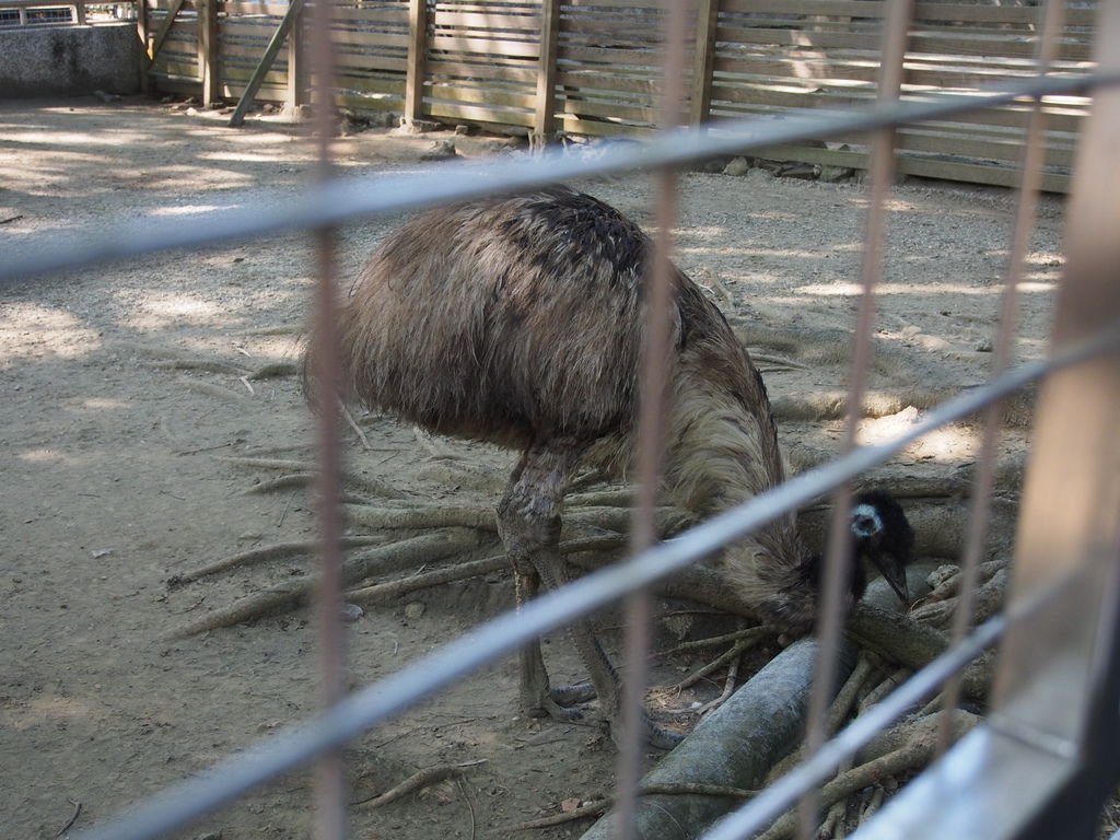P1011074