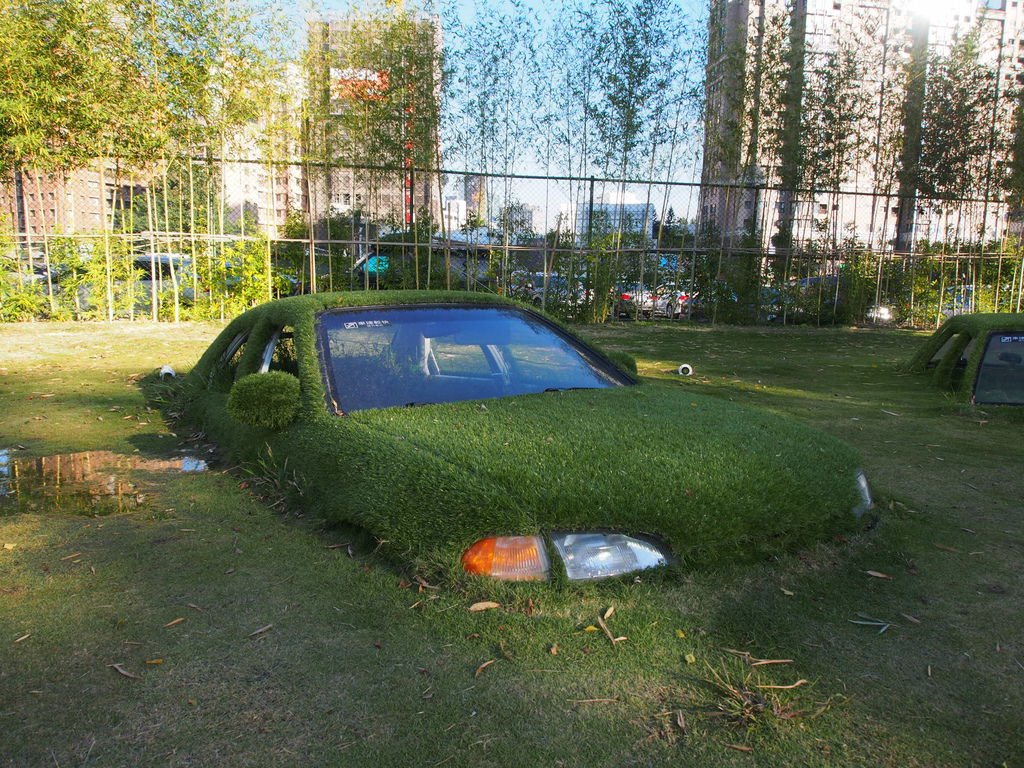 P1011485