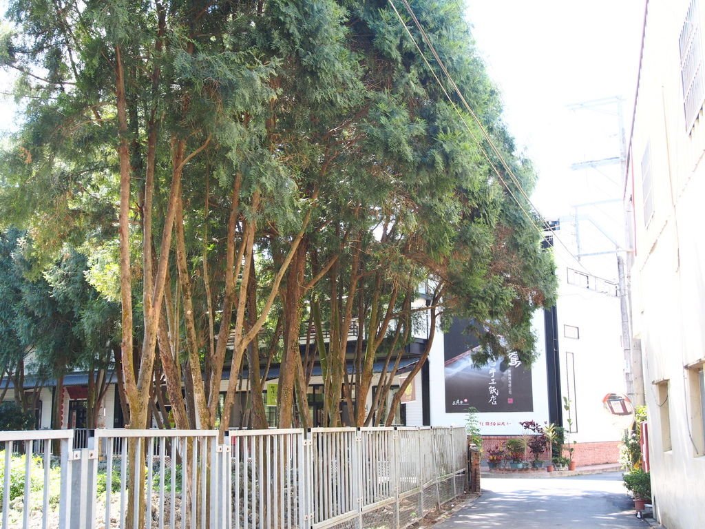 P1010428