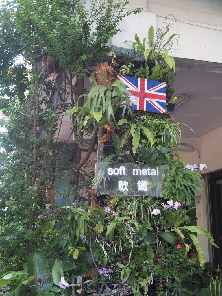 P1016651.JPG