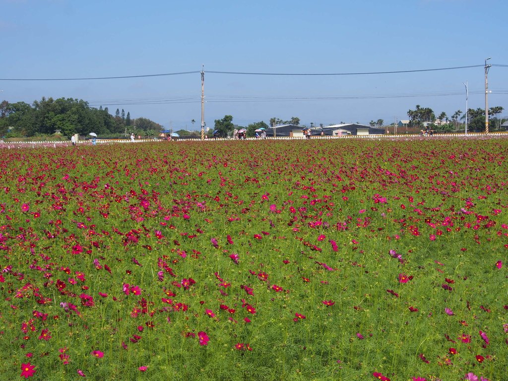 P1017400.JPG