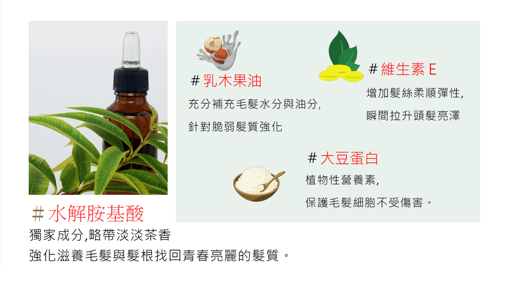 平價護髮乳推薦｜護髮精華推薦｜T.M (2).png