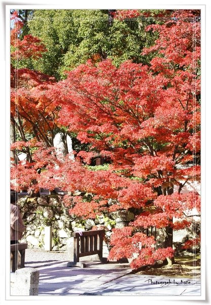 照片 935.jpg