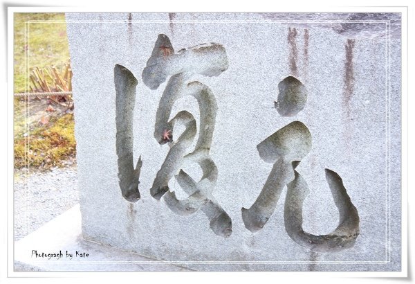 照片 977.jpg