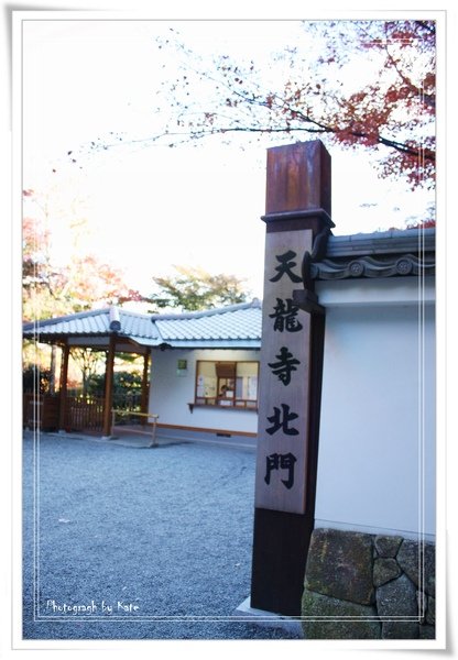 照片 1017.jpg