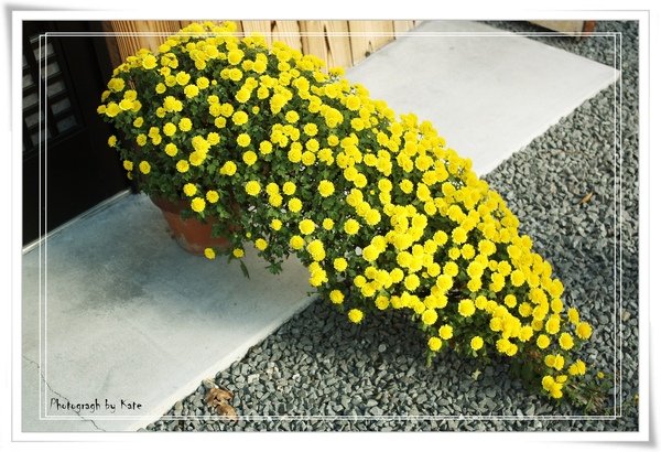 照片 1051.jpg