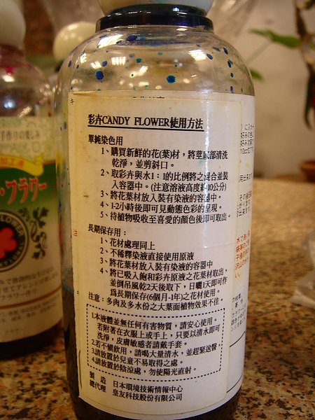 DSC04770.JPG
