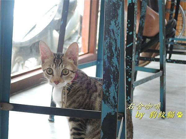 DSCN3098_meitu_24