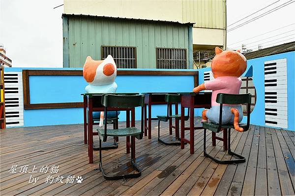 DSC_2082_meitu_8