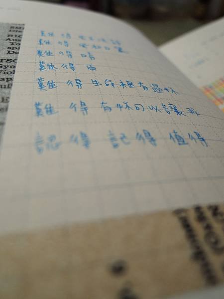 DSCN0419