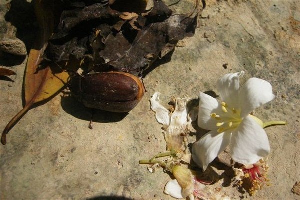 DSCF4521.JPG