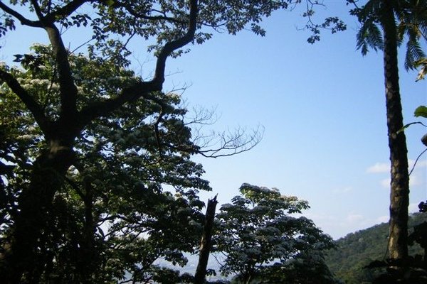 DSCF4574.JPG