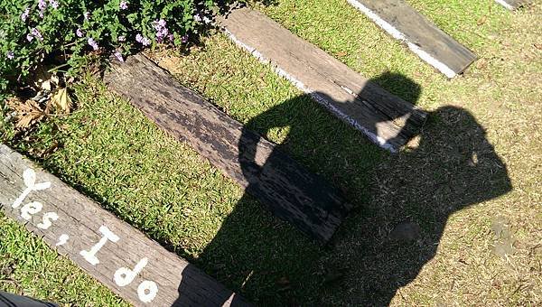 IMAG0283