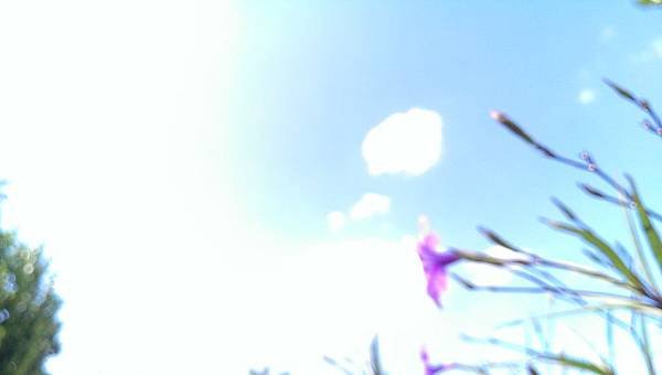 IMAG0297
