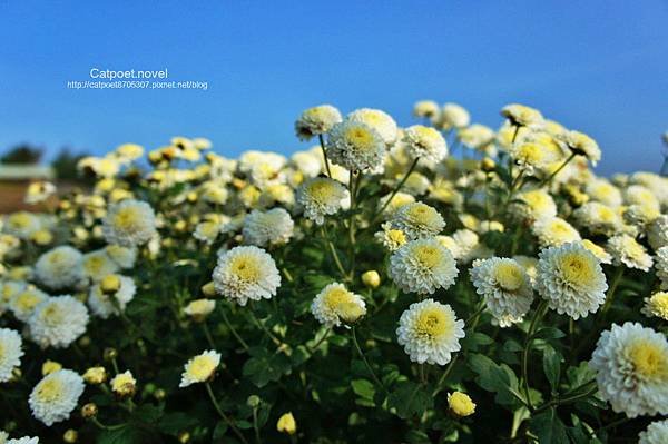 DSC03925-1_meitu_1