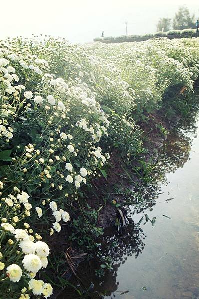DSC03973-1_meitu_1
