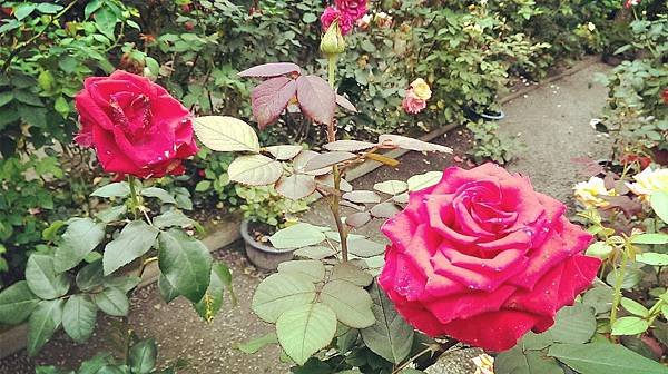 6_meitu_10