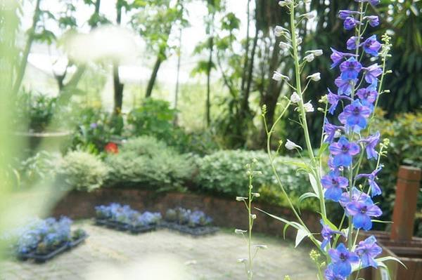 DSC04621------------------------_meitu_5