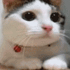 3791-1.gif