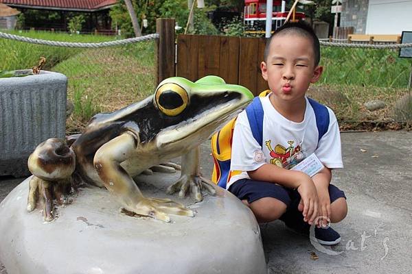 frog.jpg