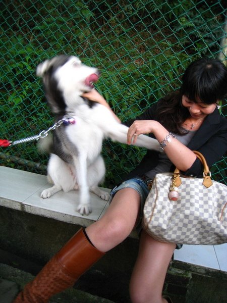 IMG_6281_resize.JPG