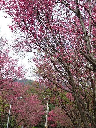 DSC05783 (640x480)