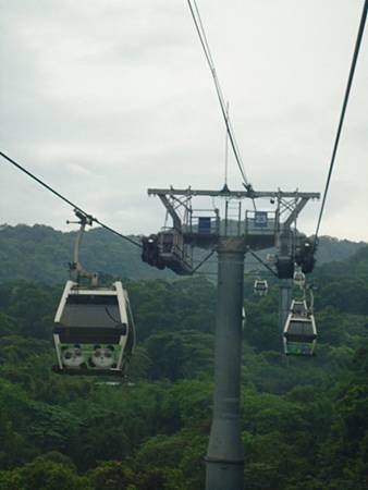 DSC06707 (480x640)