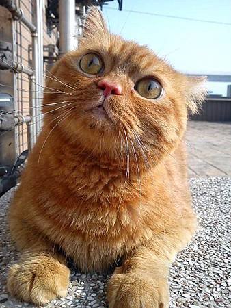 DSC00095 (480x640)