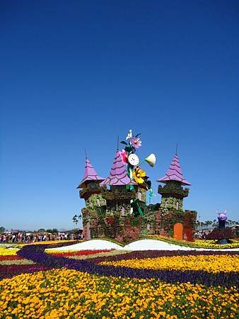 DSC09373.JPG