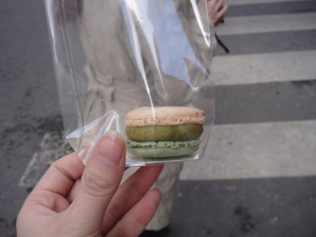 D5_33 macaron  from Pierre Herme.JPG