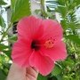 DSC02853.JPG