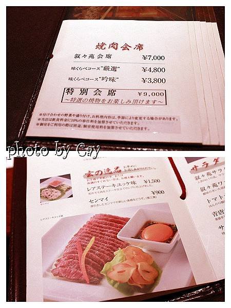 PhotoCap_120424 066P01