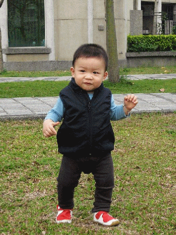 玩.gif