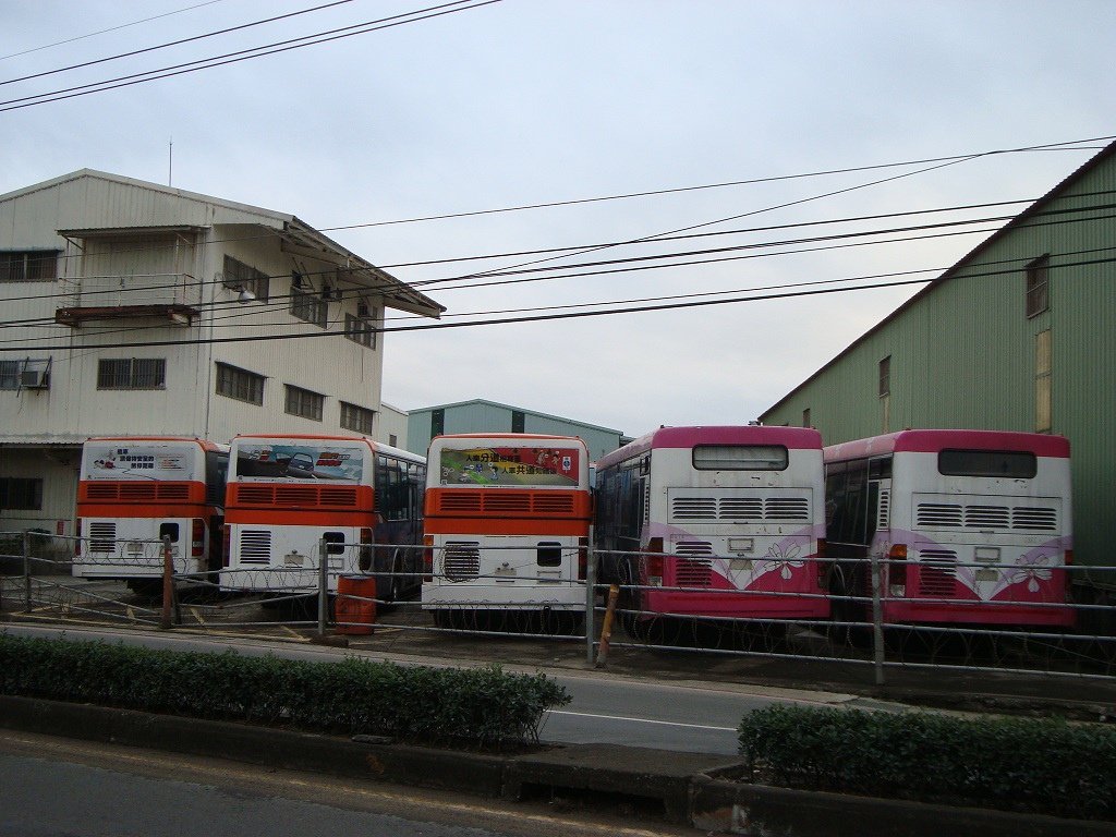 台北櫻花BUS04.JPG