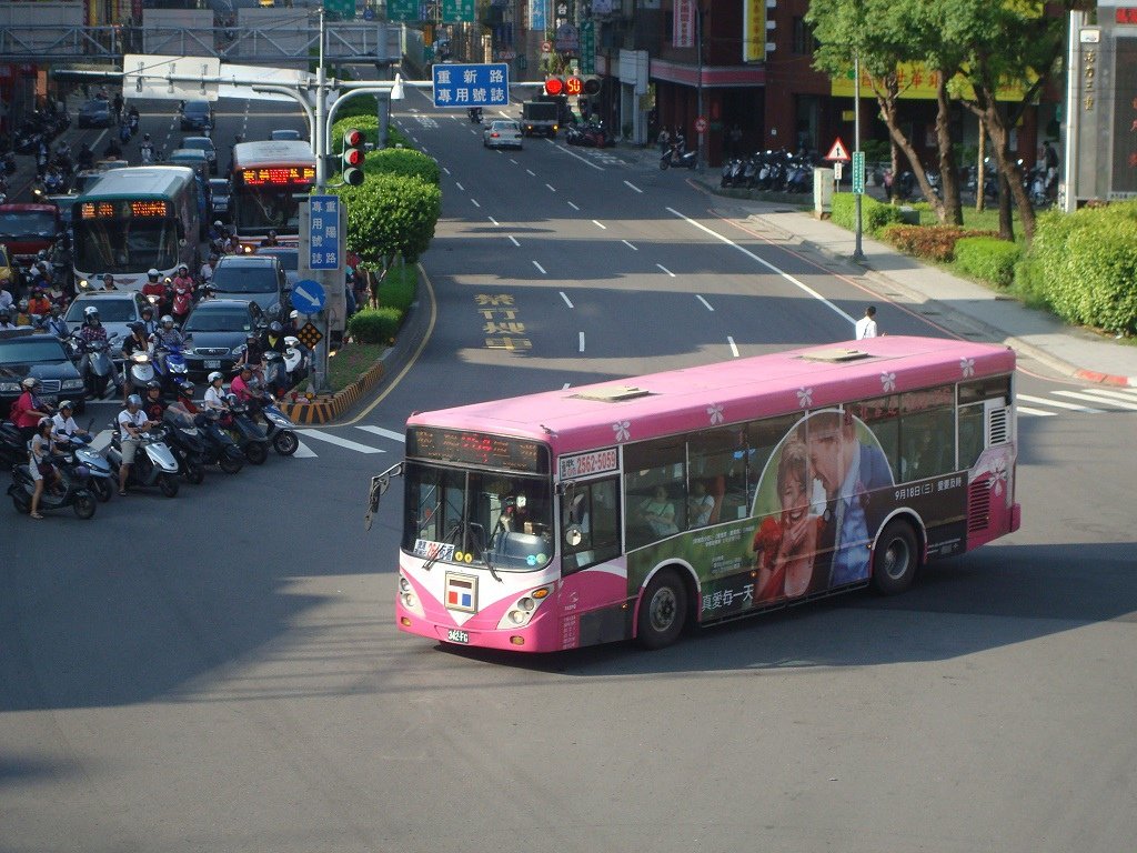 台北櫻花BUS02.JPG