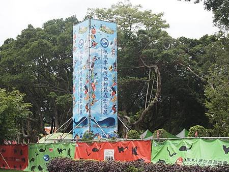 PA111008.JPG