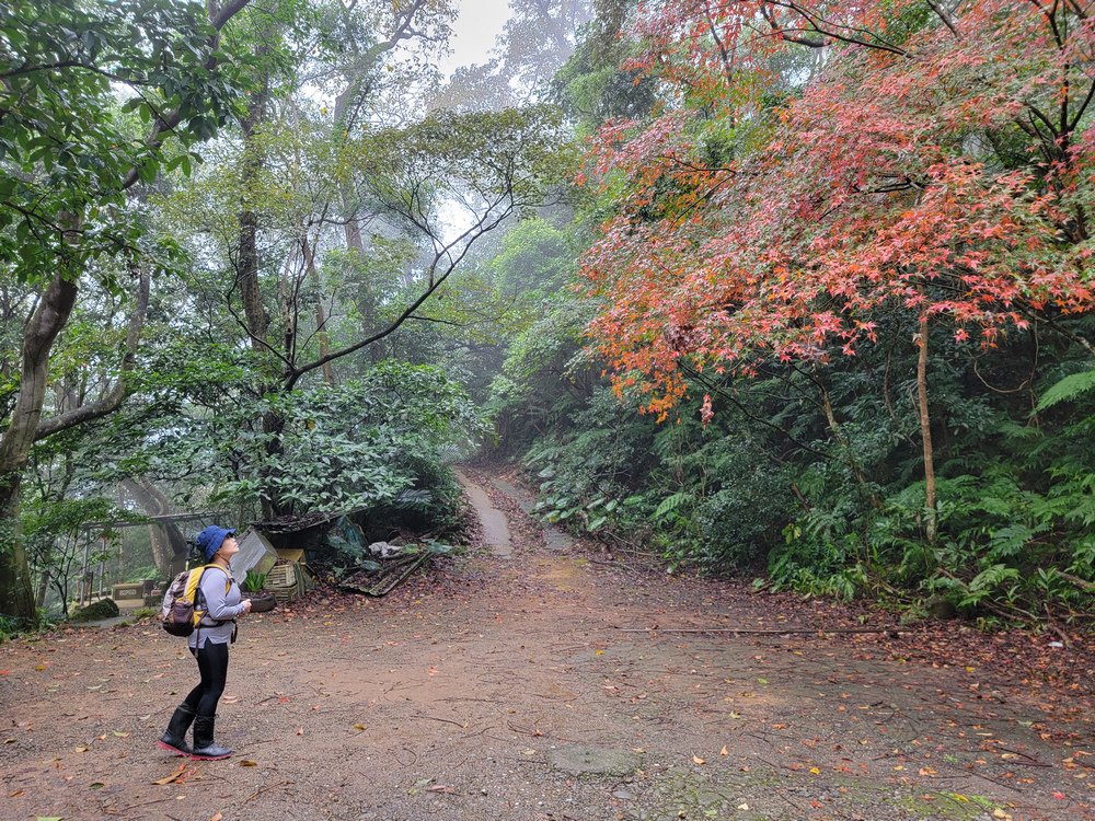 桃園金面山O形